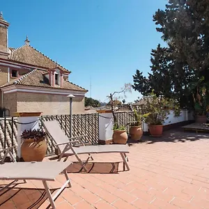 https://penthouse-near-cathedral-and-to-real-maestranza.es-andalucia.com